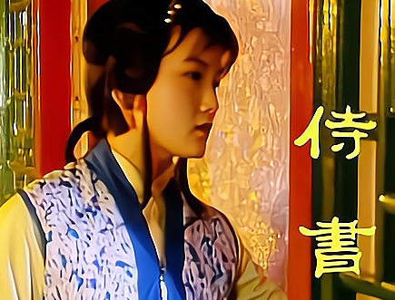 红楼梦侍书是谁的丫鬟？这个角色很重要吗?