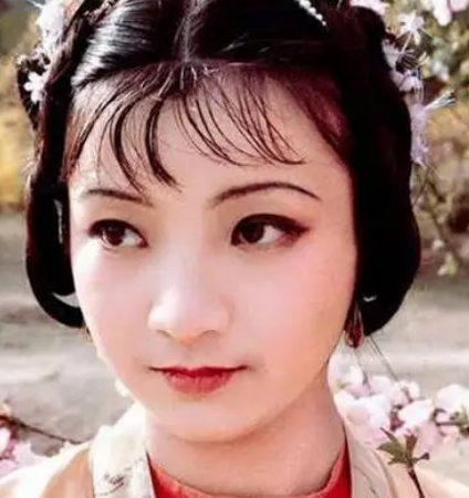 红楼梦春燕的姨妈是谁？又是什么身份？