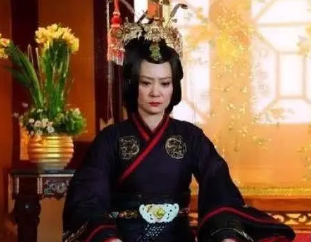 娄昭君生下的龙凤胎叫什么名字？他们有哪些成就？