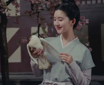 /mingxing/a447302.html