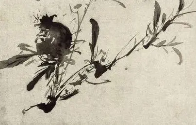 /mingxing/a447367.html