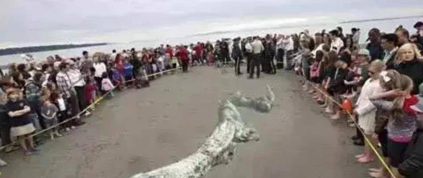 /mingxing/a451397.html