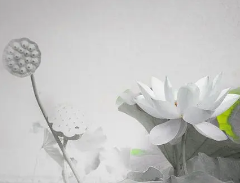 /mingxing/a451809.html