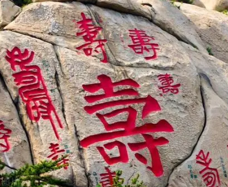 /mingxing/a451828.html