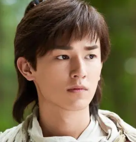 /mingxing/a452916.html