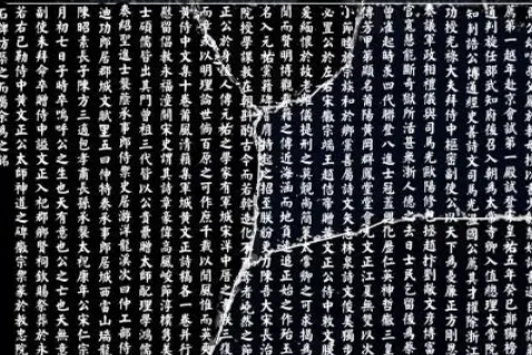 /mingxing/a455355.html