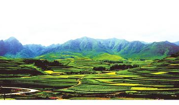 /mingxing/a457211.html