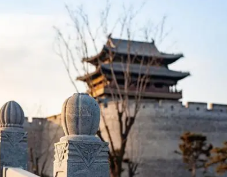 高延宗寻找大胡子是怎么回事？真相是什么？