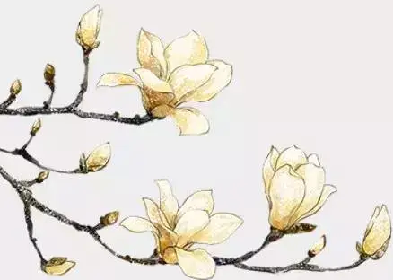  孟宾于出生在什么时候?是哪个朝代的?