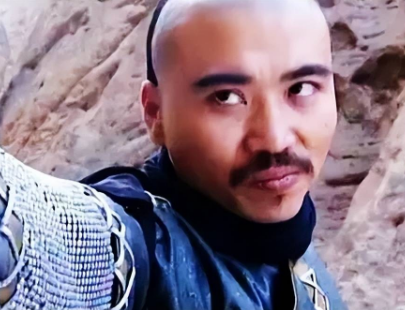 陆菲青和张召重谁厉害？他们的武功水平如何？