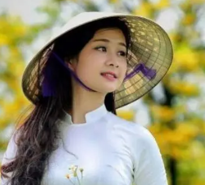 胡季犛祖先是什么身份？是汉族人吗？