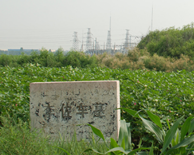 /mingxing/a462456.html