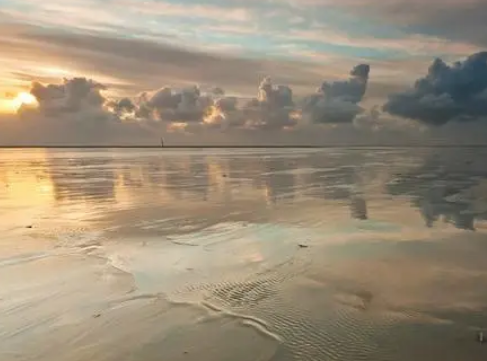 /mingxing/a463748.html