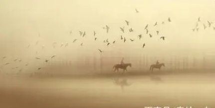 /mingxing/a463752.html