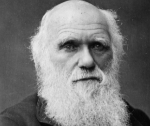 达尔文是科学家还是生物学家？他究竟是什么身份？