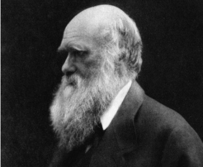 达尔文是基督徒吗？为什么这么说？