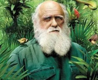 达尔文有哪些贡献？他提出了什么理论？