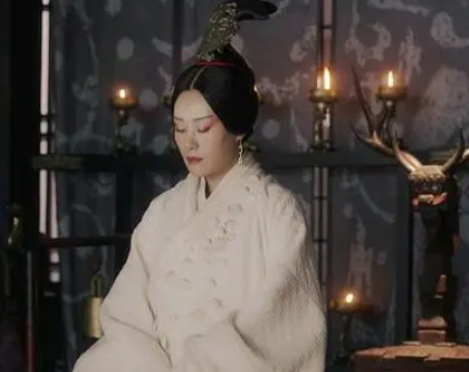  桓齮和华阳夫人之间有关系吗？是什么关系？