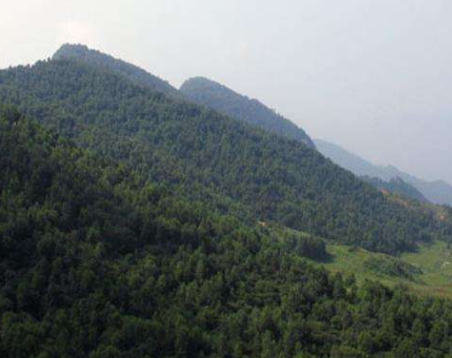 西乡隆盛青山处处埋忠骨，生平事迹是什么样的？