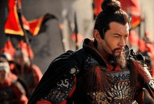 岳飞后代三代不愿成为宋朝将领，但在敌国中培养出一位猛将，为清朝打下了百万疆土