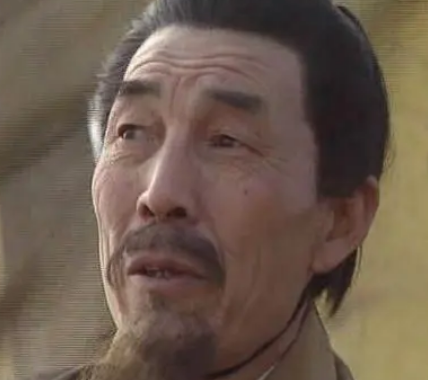 辛评是谁？他让审配杀辛毗一家的原因是什么？