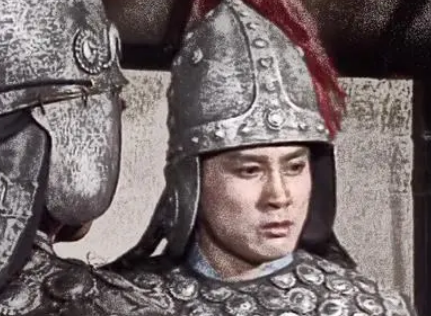  杨阜是什么人物？有什么历史背景？