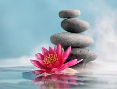 What profound insights did Master Hongyi have? What do they mean?