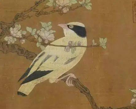 徐熙的作品怎么样？如何评价？