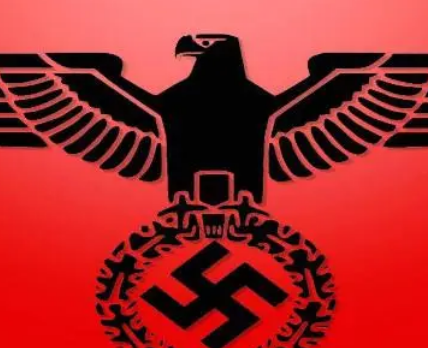 海德格尔是什么人？他加入纳粹党的原因是什么？