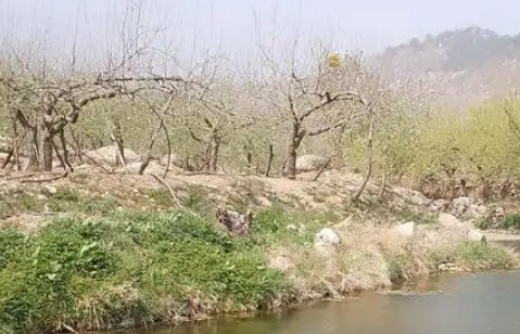  密歇尔福柯的心灵历程是什么样的？经历了什么？