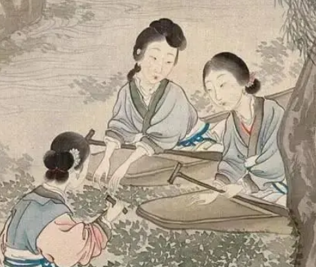 沈宜修有后代吗？她生了几个孩子？