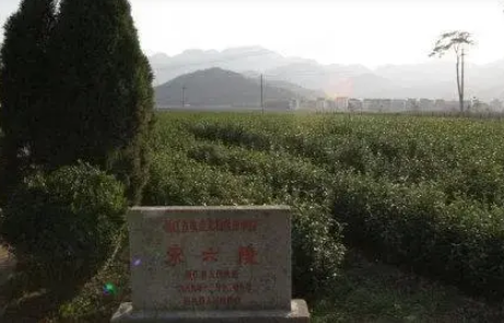  杨琏真迦有师傅吗？他的师傅是谁？