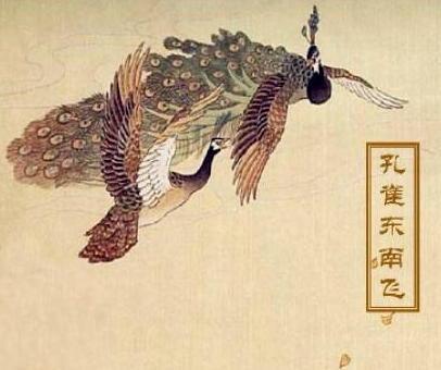  孔雀东南飞是什么样的诗？作者是徐陵吗？