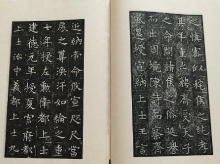 苏慈墓志何时出土？在哪出土？