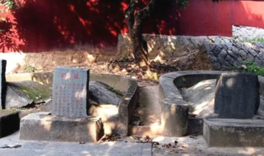  林世功绝命诗二首是什么？是什么情感？