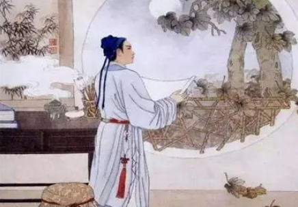  归有光把枇杷树都砍了是真的吗？真相是什么？