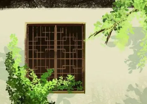  归有光的枇杷树是怎么来的？最后怎么样了？