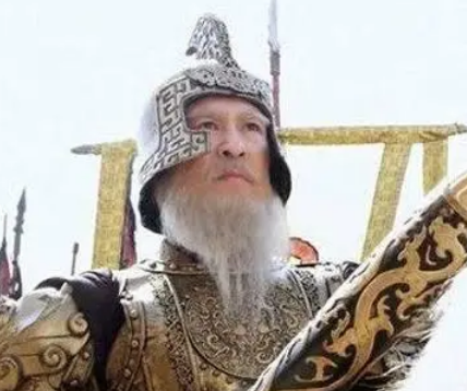  杨林的一生是什么样的？有什么经历？