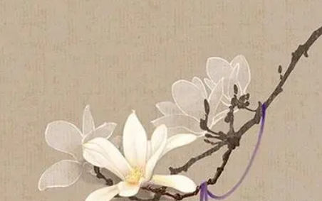  清代才女沈宛是什么人？她的词是什么样的？