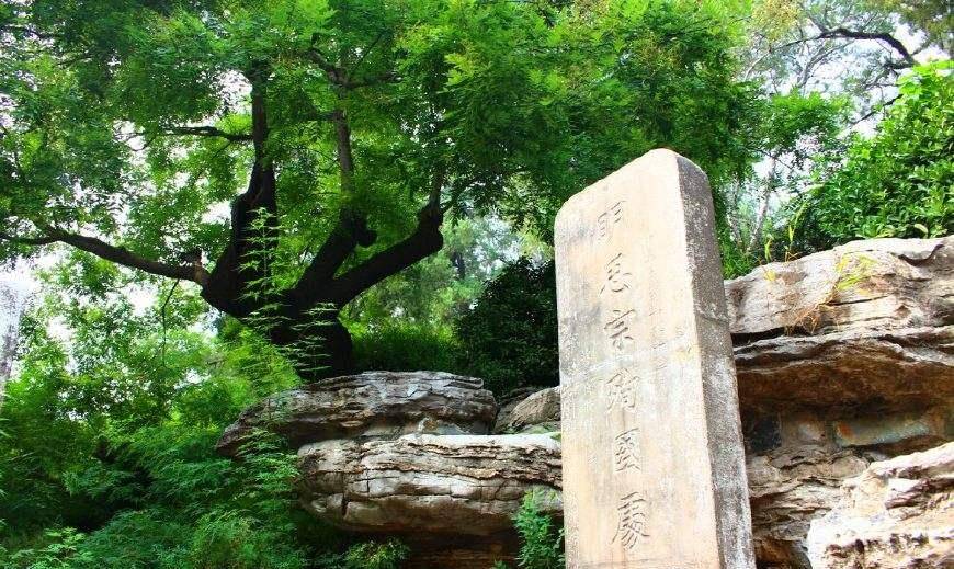 朱元璋对崇祯皇帝的愤怒与不满：皇室孤立无援，朝廷缺乏人才，疆场失守无人可用