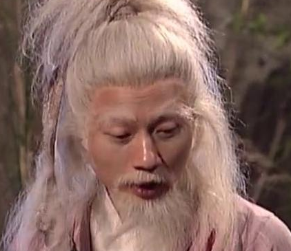 南帝北丐段智兴与瑛姑之间是什么关系？他爱瑛姑吗？
