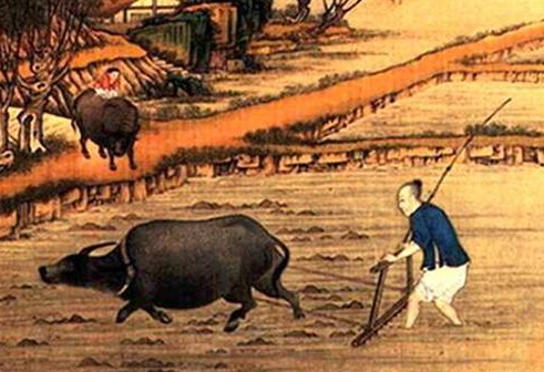 聂夷中的田家诗其二原文是什么样的？是什么情感？