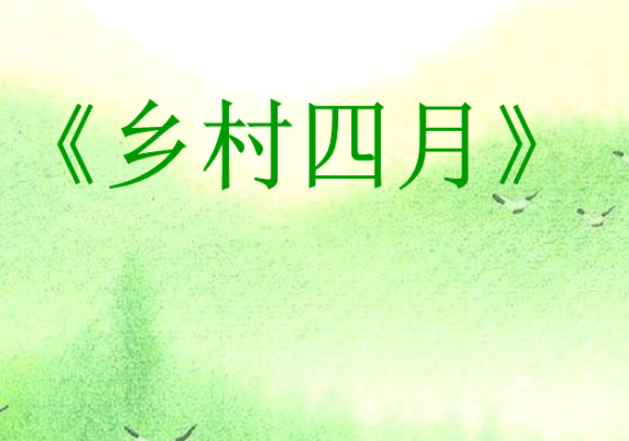  翁卷读音真的有争议吗？真相是什么？