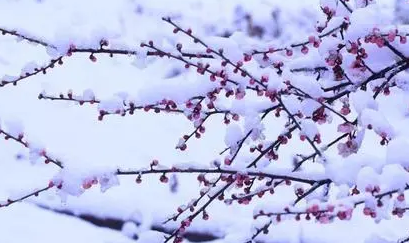 史达祖哪个朝代？生平是什么样的？