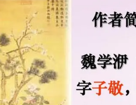 魏学洢的出生日期在什么时候？当时朝代是什么样的？
