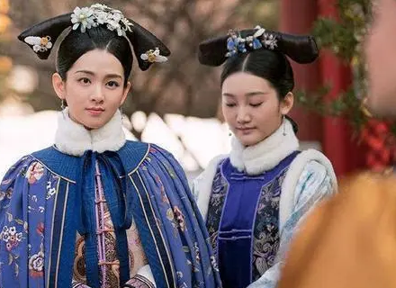  舒妃有后代吗？生下皇子了吗？