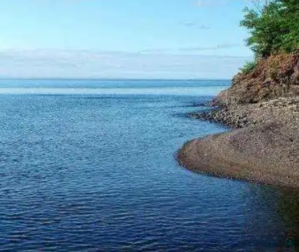 最大的淡水湖位于什么地方？总面积有多大？