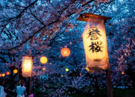 渡边淳一樱花树下是什么书？是什么内容？