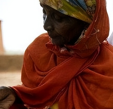 妇女生育率最高的国家在哪里？国家名字是什么？