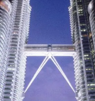 /mingxing/a491654.html